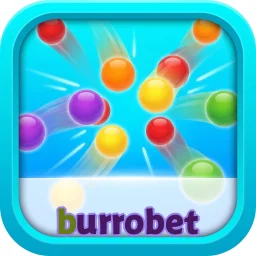 burrobet